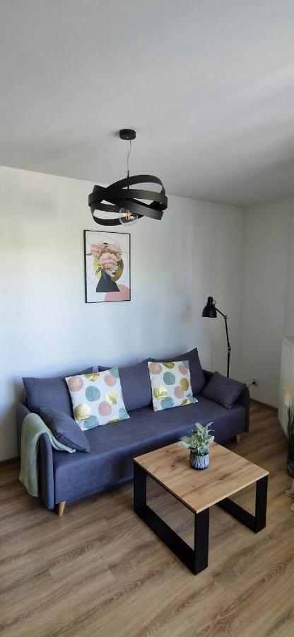 Cosy Apartment W Poblizu Tauron Arena Krakow Dış mekan fotoğraf